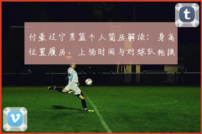 付豪辽宁男篮个人简历解读：身高位置履历、上场时间与对球队轮换影响